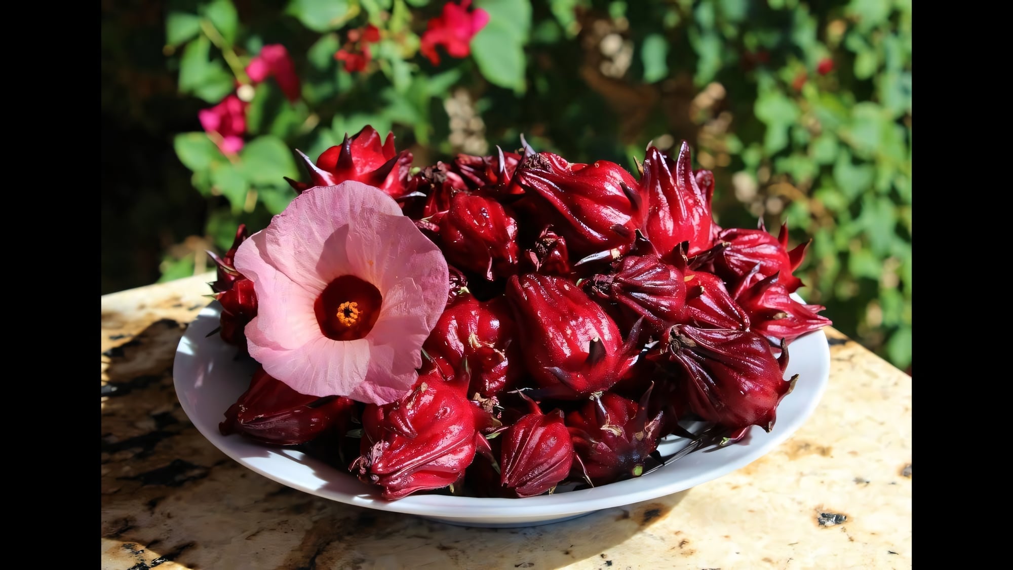 Гибискус сабдариффа (Каркаде)