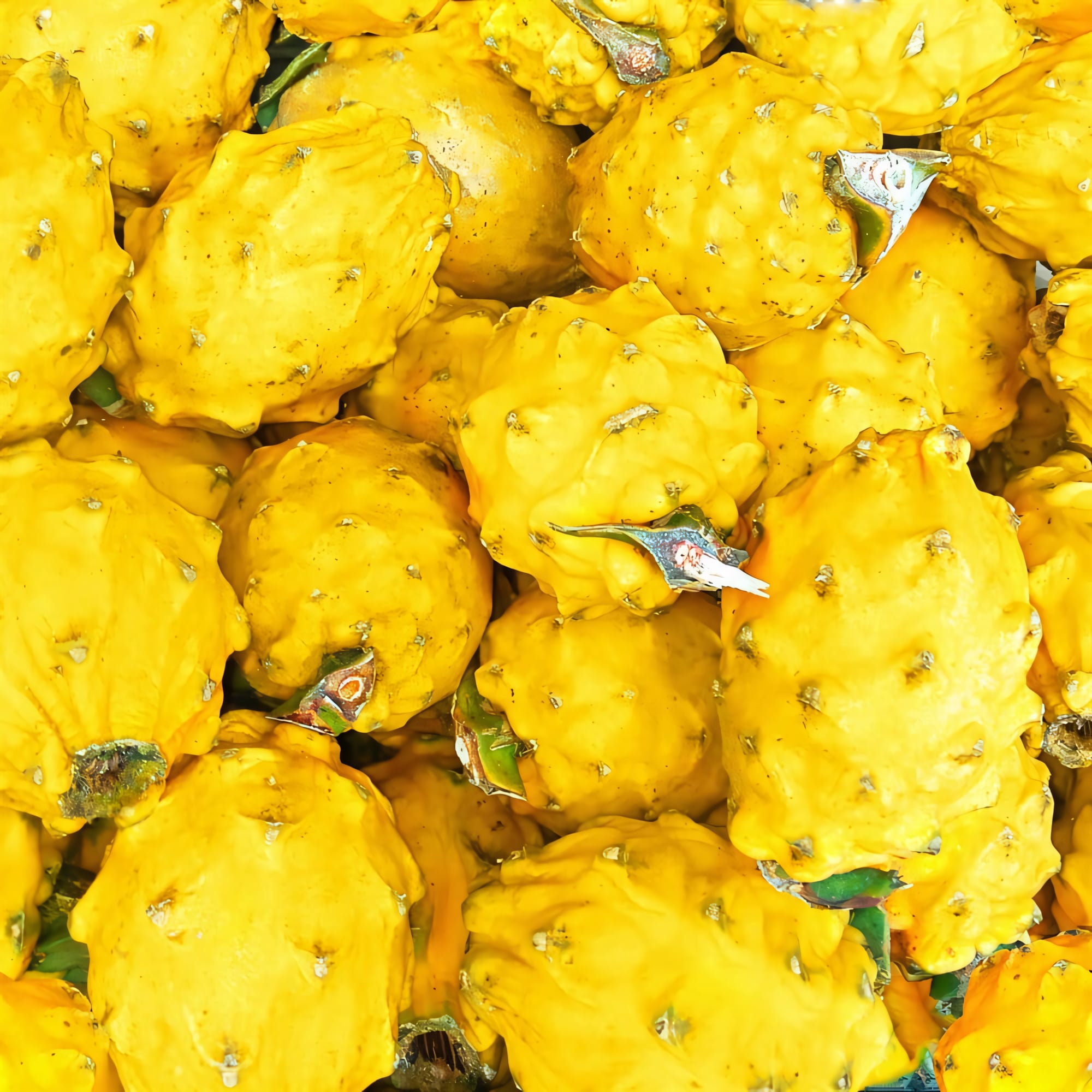 Питахайя жёлтая